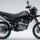 Suzuki DR125SM 2008